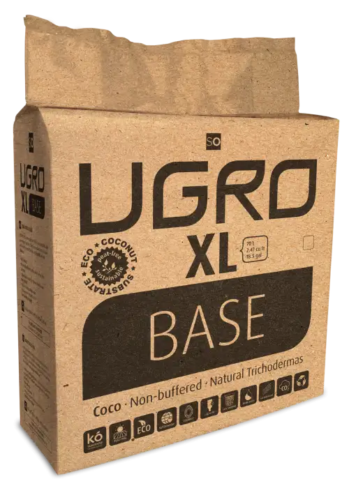 XL Base