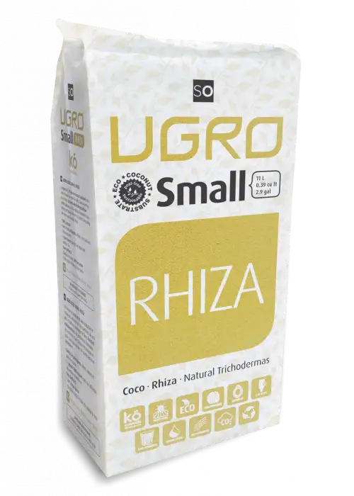 Small Rhiza