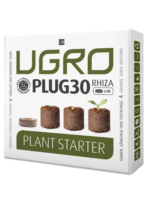 Plug Plant Starter Rhiza