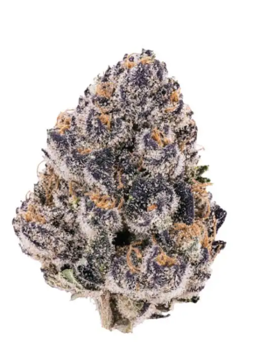 Super Boof x Red Pop