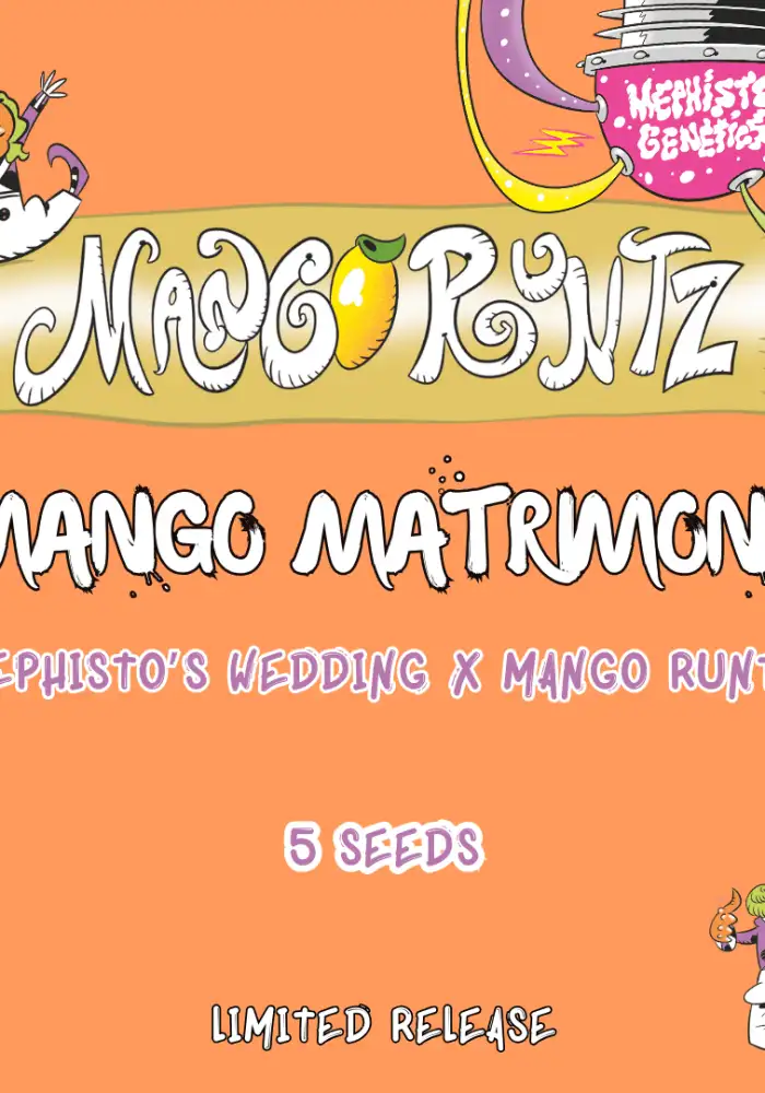 Mango Matrimony