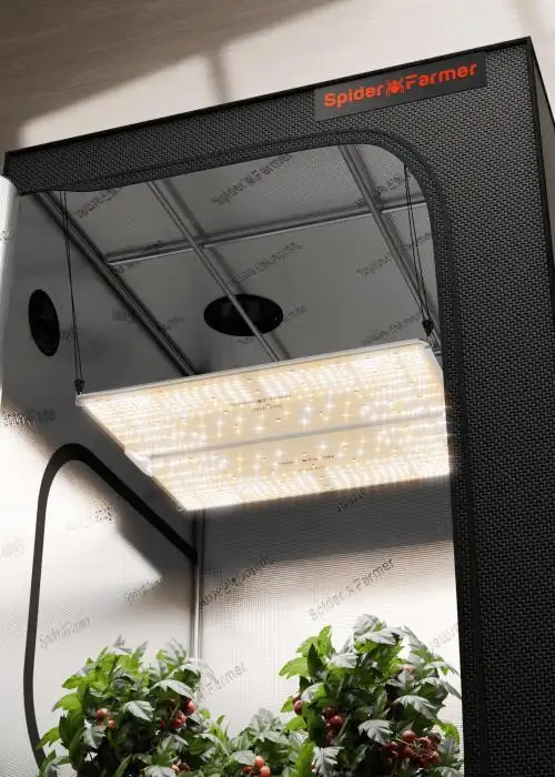 120x120x200cm Grow Tent with SF4000 LED