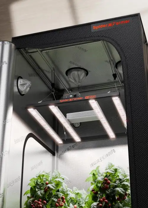 90x90x180cm Grow Tent Kit wit G3000 LED