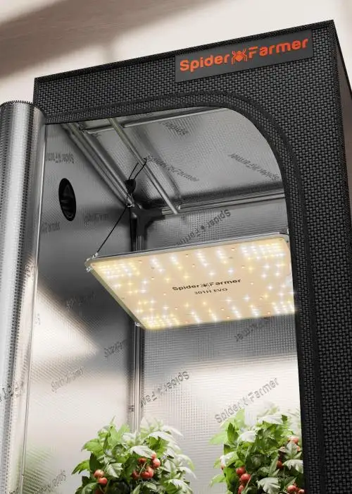 70x70x160cm Grow Tent With SF1000 LED