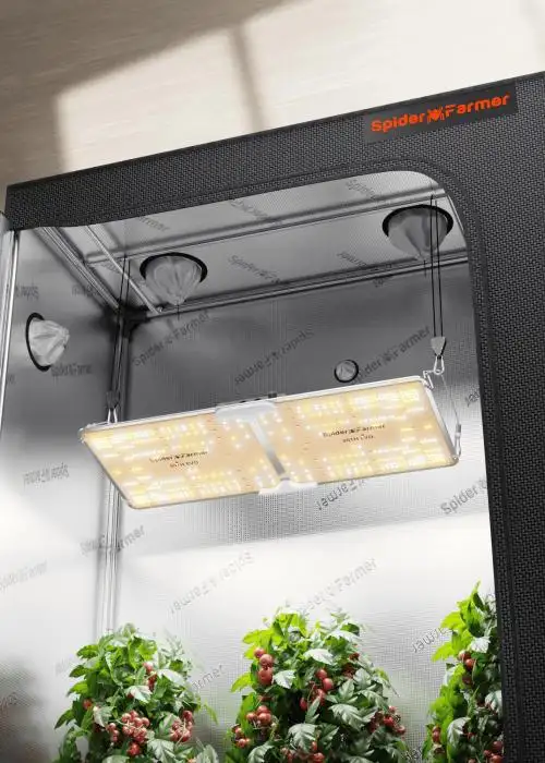140x70x200cm Complete Grow Tent Kit with SF2000