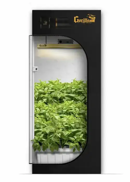 All New Grow Tent Room - 2x2.5 / SuperPonics 16