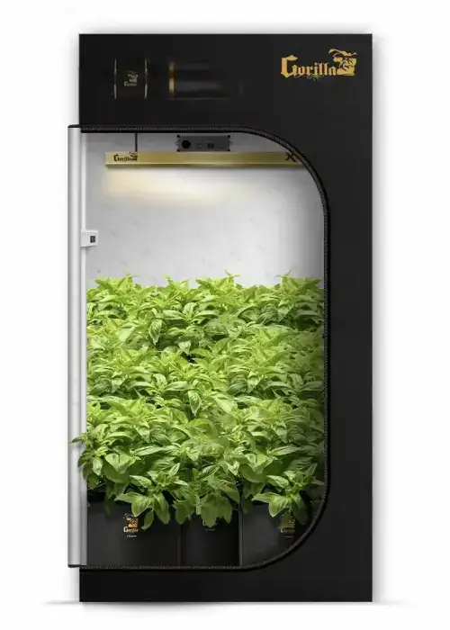 2x4 Kit Soil