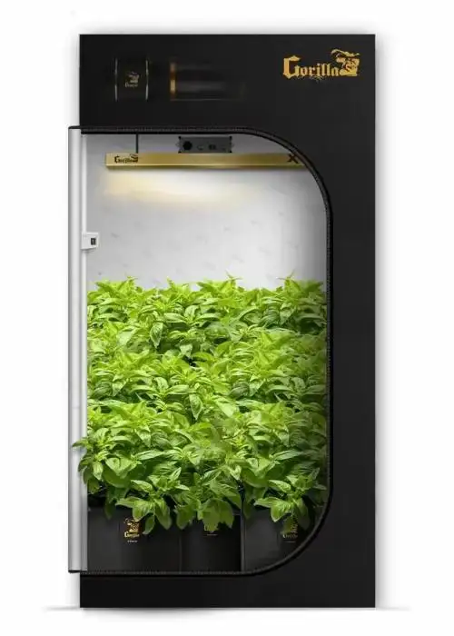 2x4 Grow Tent Kit Soil