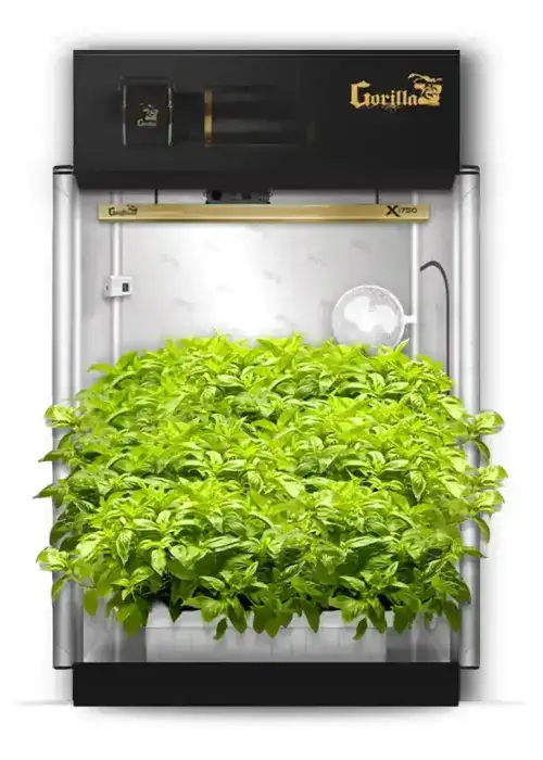 2x4 Gorilla Grow Room PRO – Hydroponic