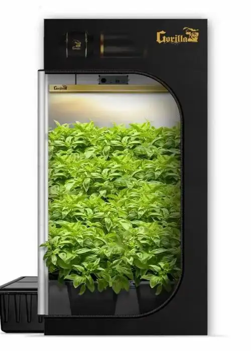 4x4 Grow Tent Kit Bubble Flow Buckets