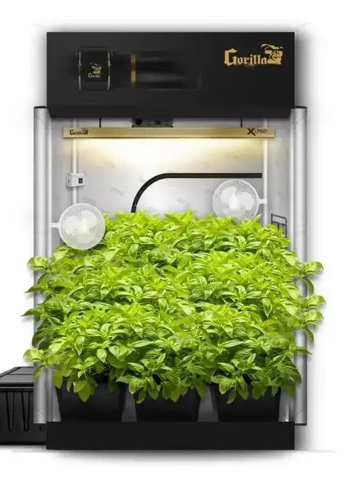5x5 Grow Tent Kit Pro Hydroponic with X750