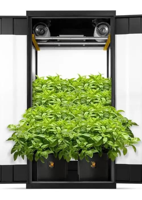 Grow Cabinet 36” x 24” x 72” Soil