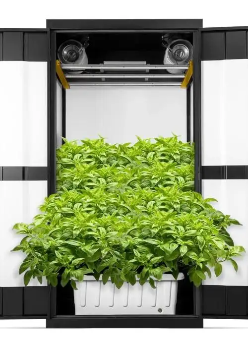 Grow Cabinet 36” x 24” x 72” Hydroponic