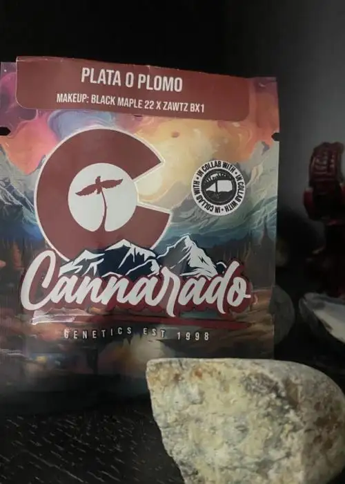 Plato O Plomo