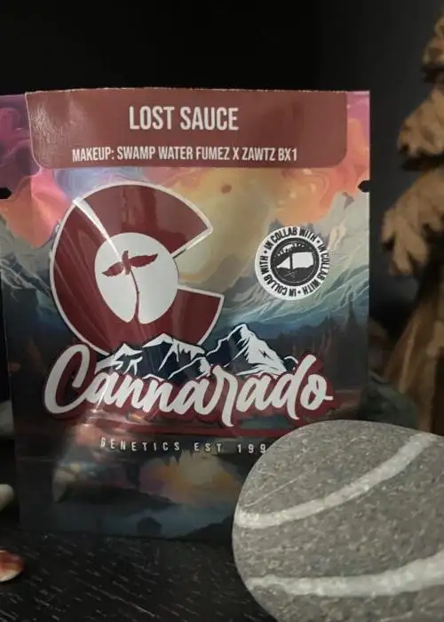 Lost Sauce