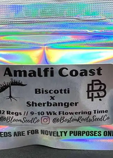 Amalfi Coast