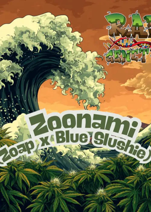 Zoonami
