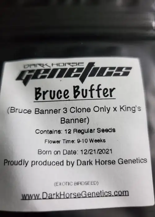 Bruce Buffer