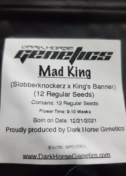 Mad King