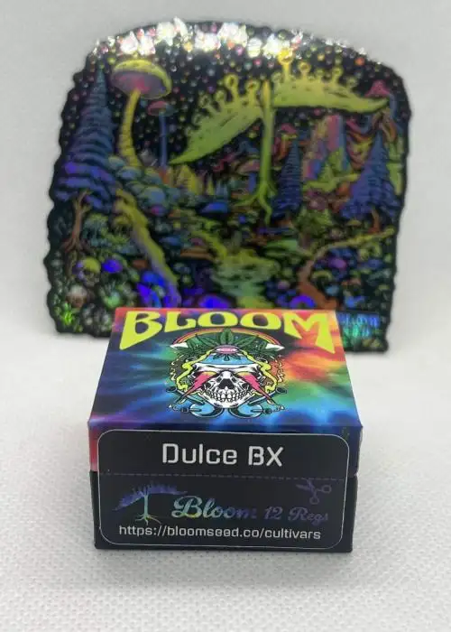 Dulce BX