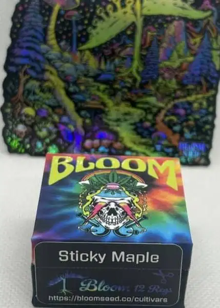 Sticky Maple