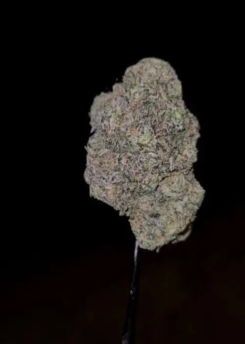 Grape Mochi