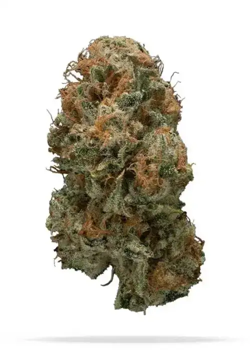 Peach Tree