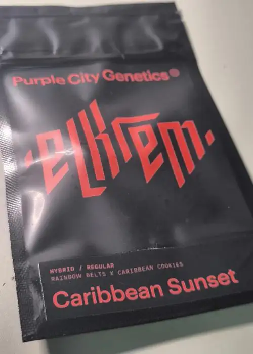 Caribbean Sunset