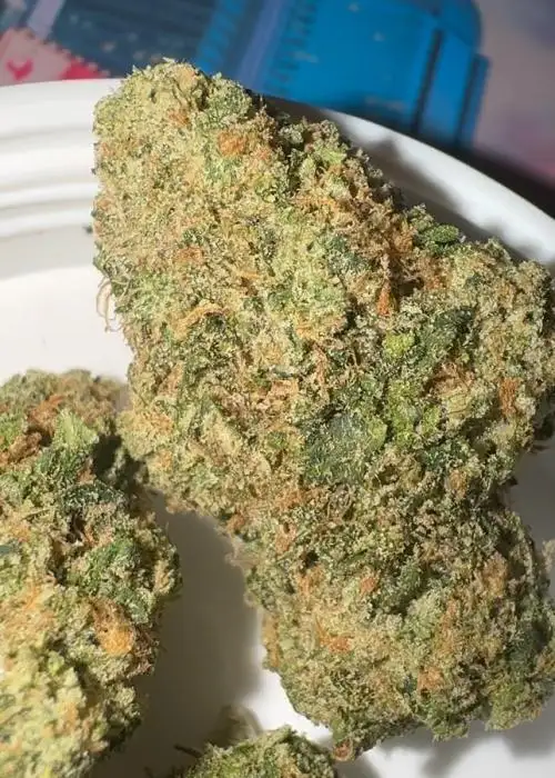 Beluga