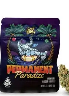 Permanent Paradize