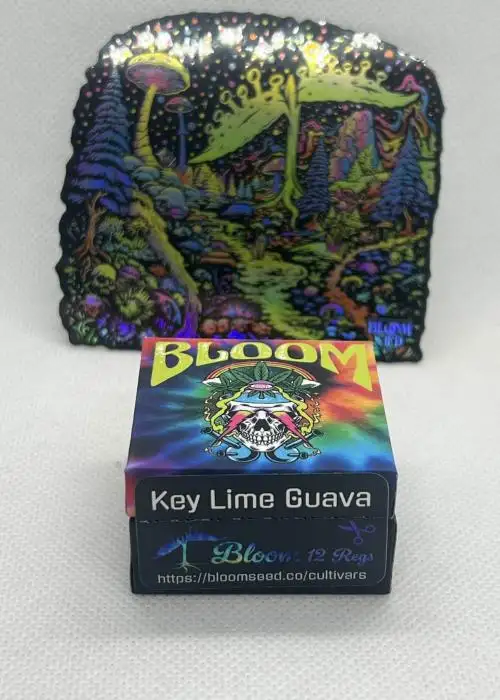 Key Lime Guava