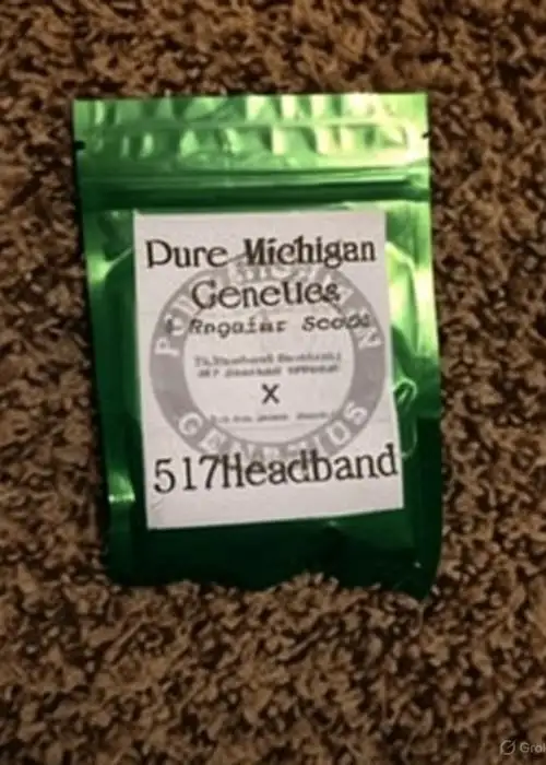 517 Headband