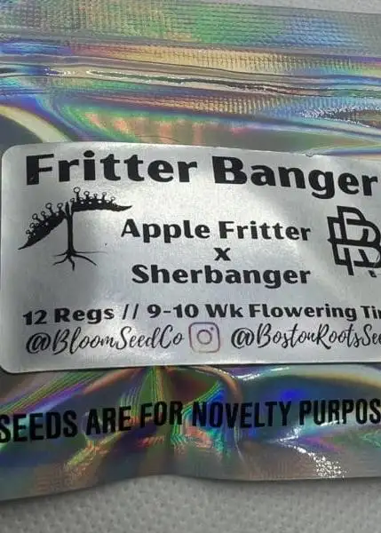 Fritter Banger