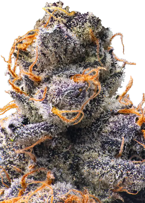 Orange Sapphire