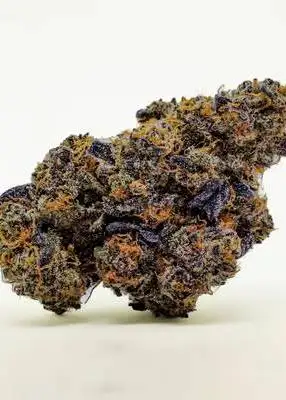Truffle Runtz