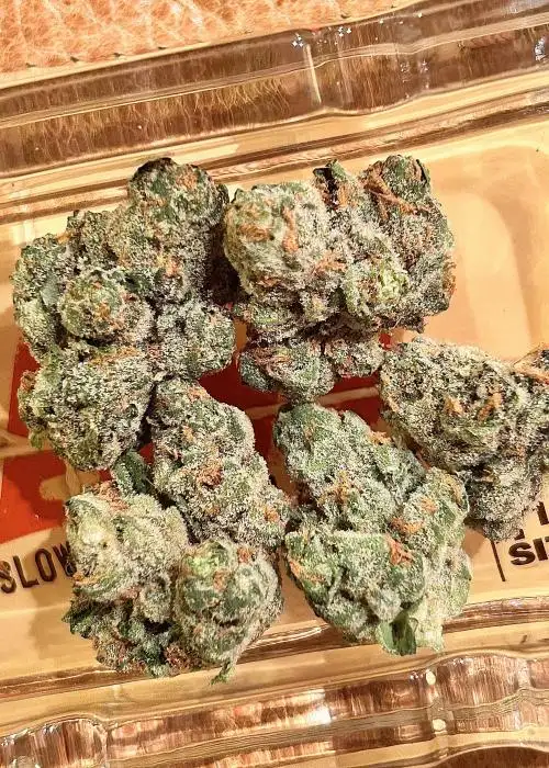 Moon Walkers