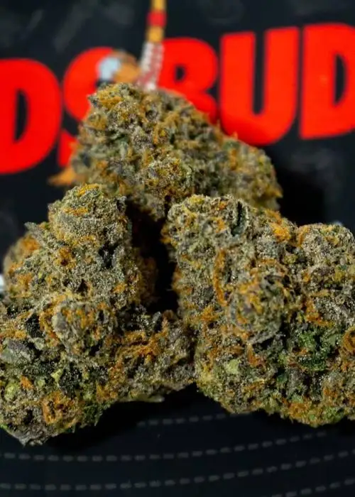 Black Sherbet