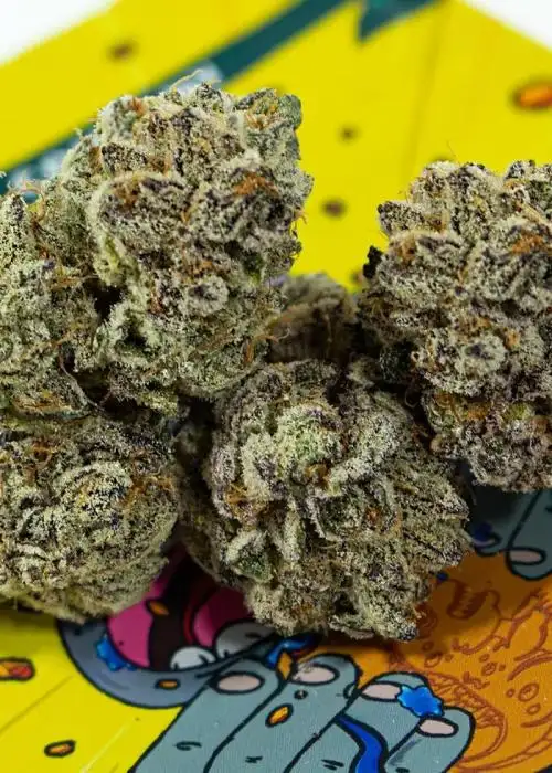 Butterscotch