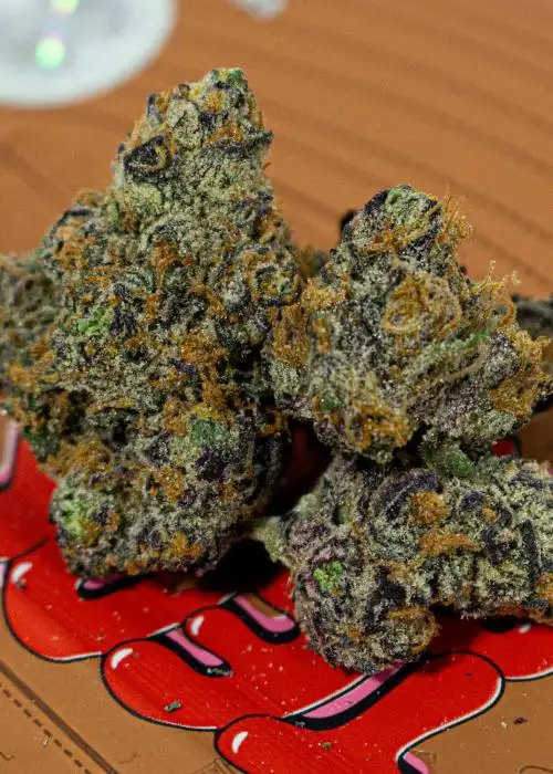 Peanut Butter Scotti