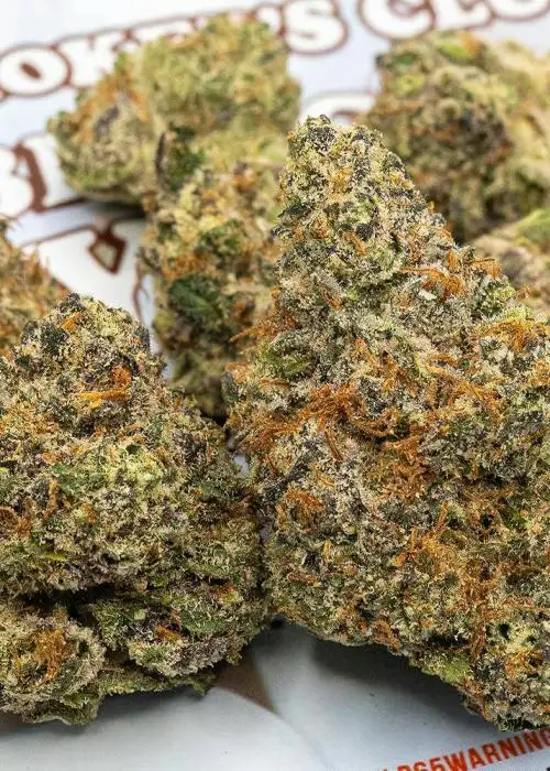 Toasted Marshmallowz