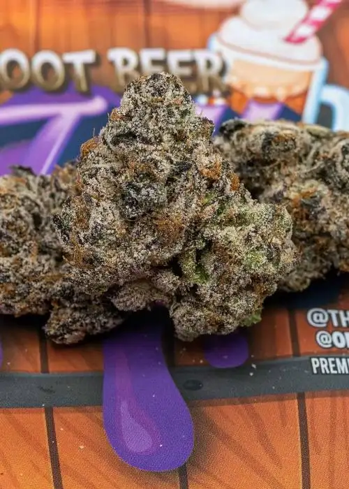 Root Beer Jelly Bubbagum