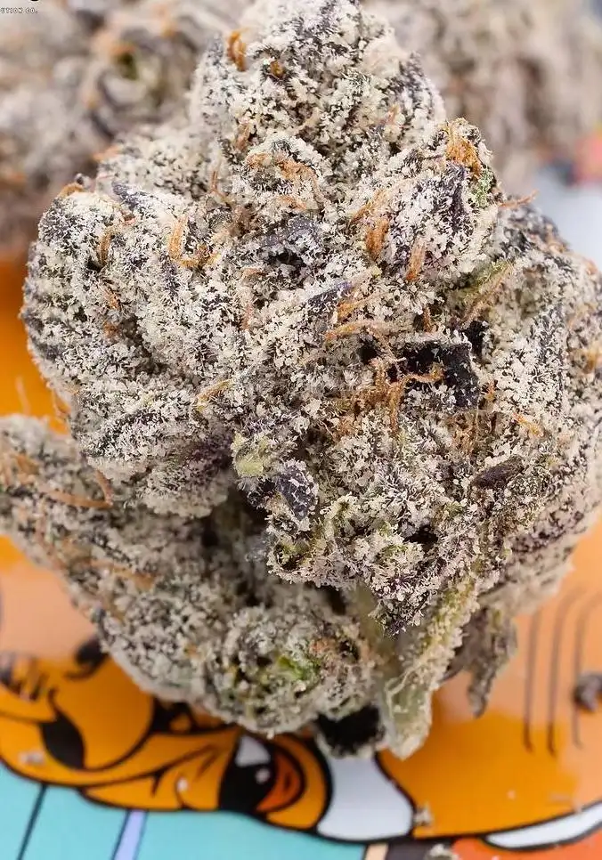 Hawaiian Jelly Roll