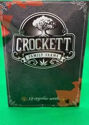 Pakistani Cherry