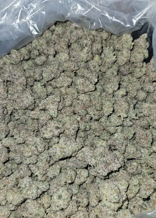 Trufflez