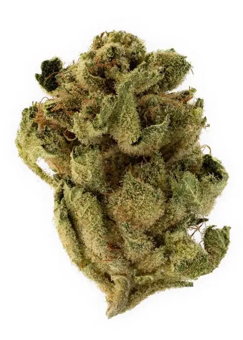 Platinum OG