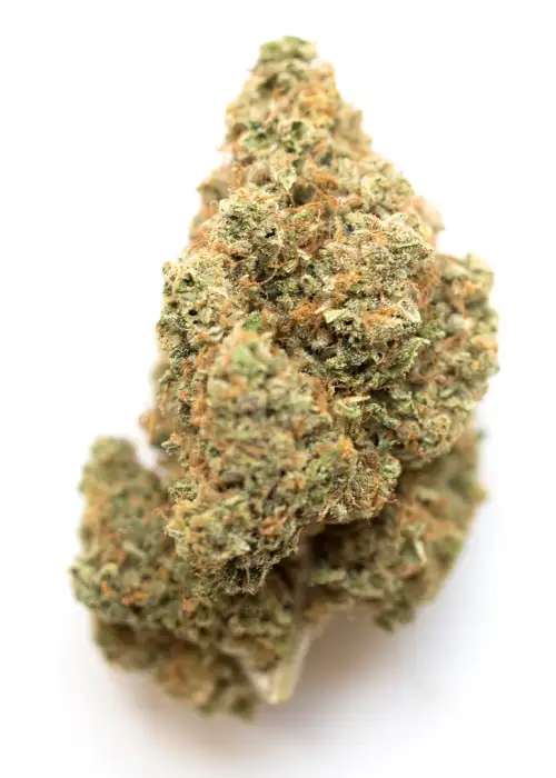 Guava Gelato