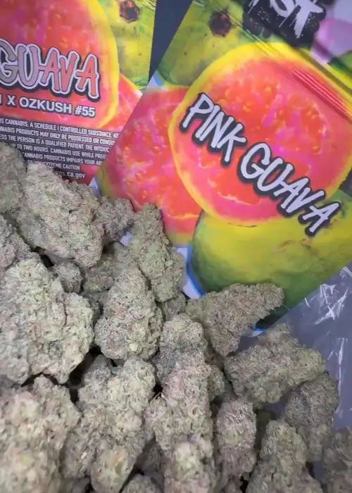 Pink Guava