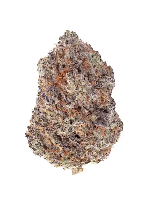 Acai Berry Gelato