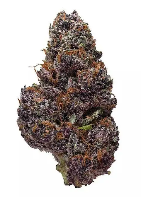 Black Cherry Soda