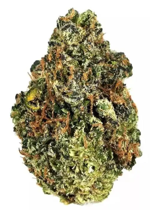 Lemon Gelato
